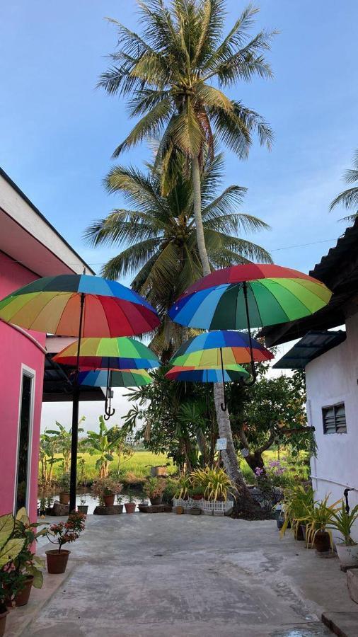 Pink Homestay D'Perlis كانجار المظهر الخارجي الصورة