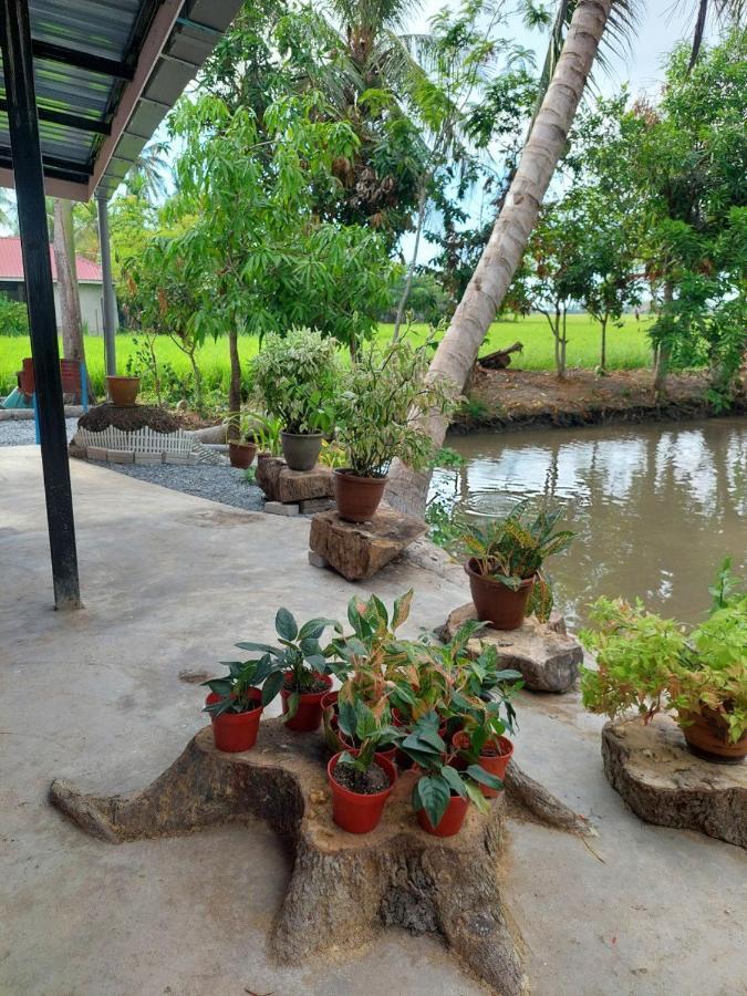 Pink Homestay D'Perlis كانجار المظهر الخارجي الصورة