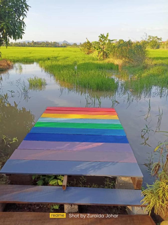 Pink Homestay D'Perlis كانجار المظهر الخارجي الصورة