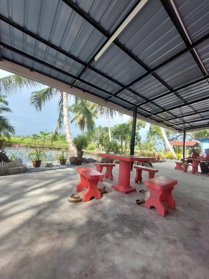 Pink Homestay D'Perlis كانجار المظهر الخارجي الصورة